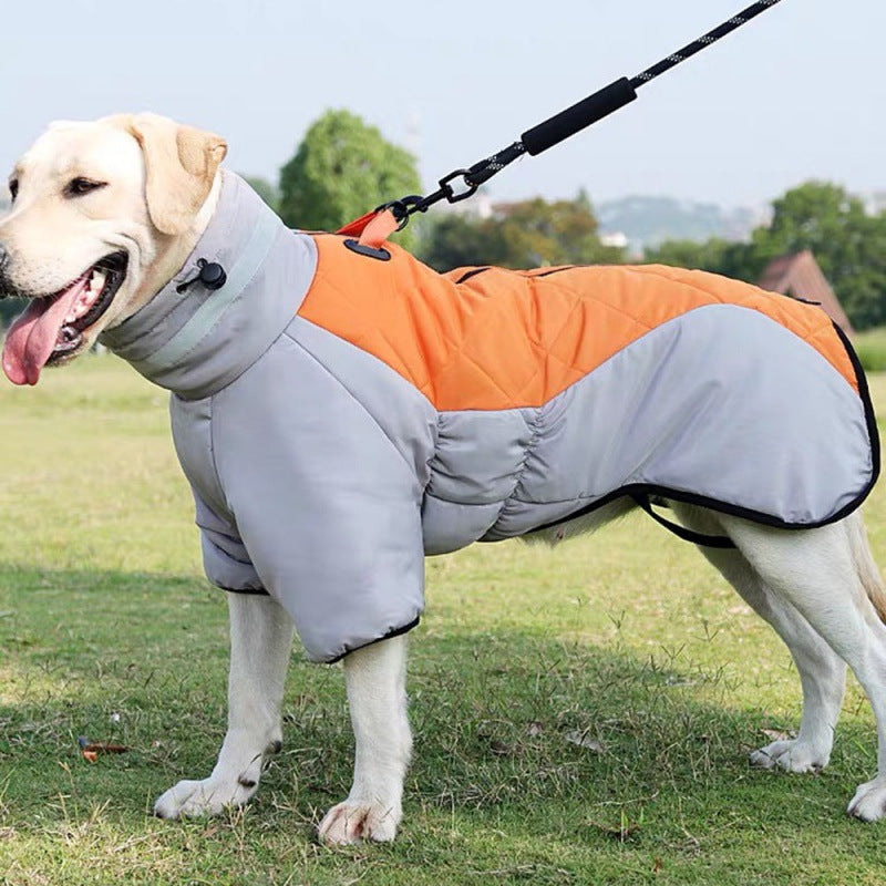 Winter Dog Coats UK: A Guide to Fit, Sizes and Padded Styles