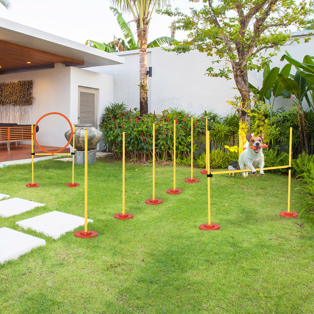 PawHut Dog Agility Jump & Hoop Set – Yellow – product view 2