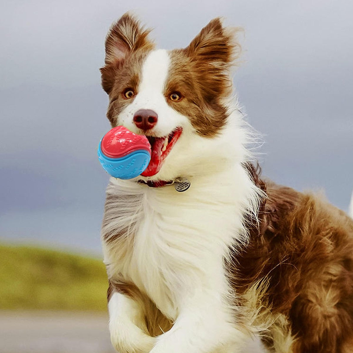 Rubber squeaky dog balls – image 5