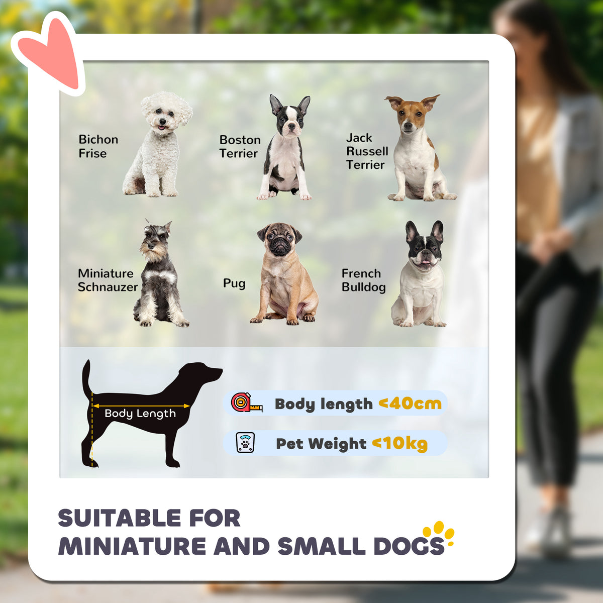 PawHut Dog Stroller with Detachable Carrier – Grey – product view 4