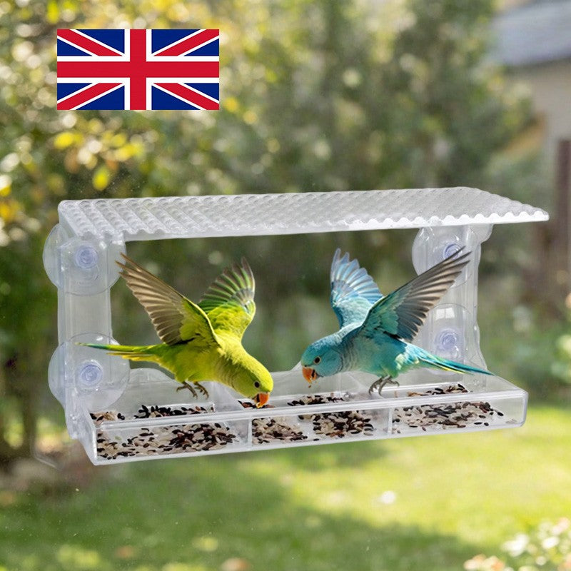 Clear window bird feeder – image 5