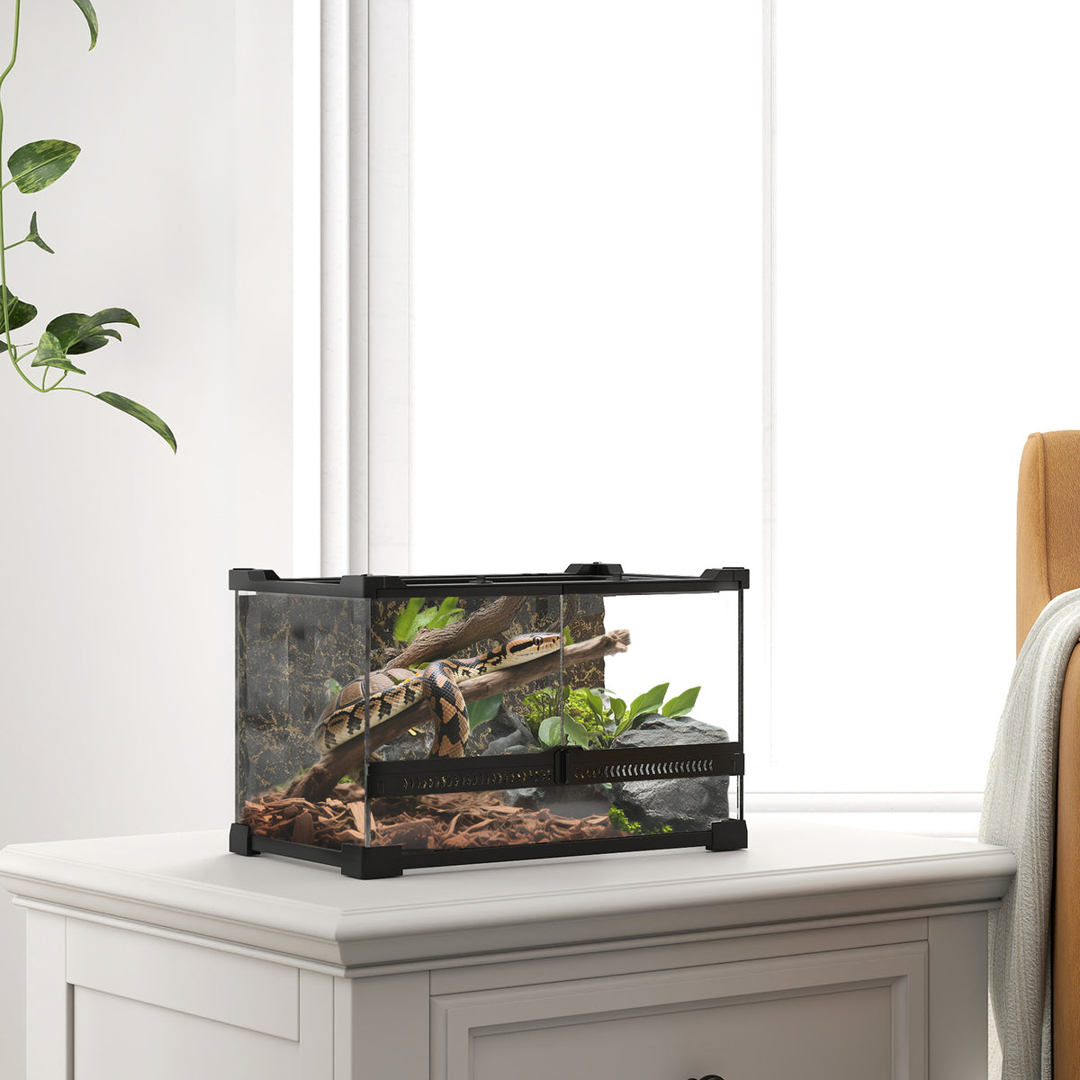 Glass reptile terrarium – image 2