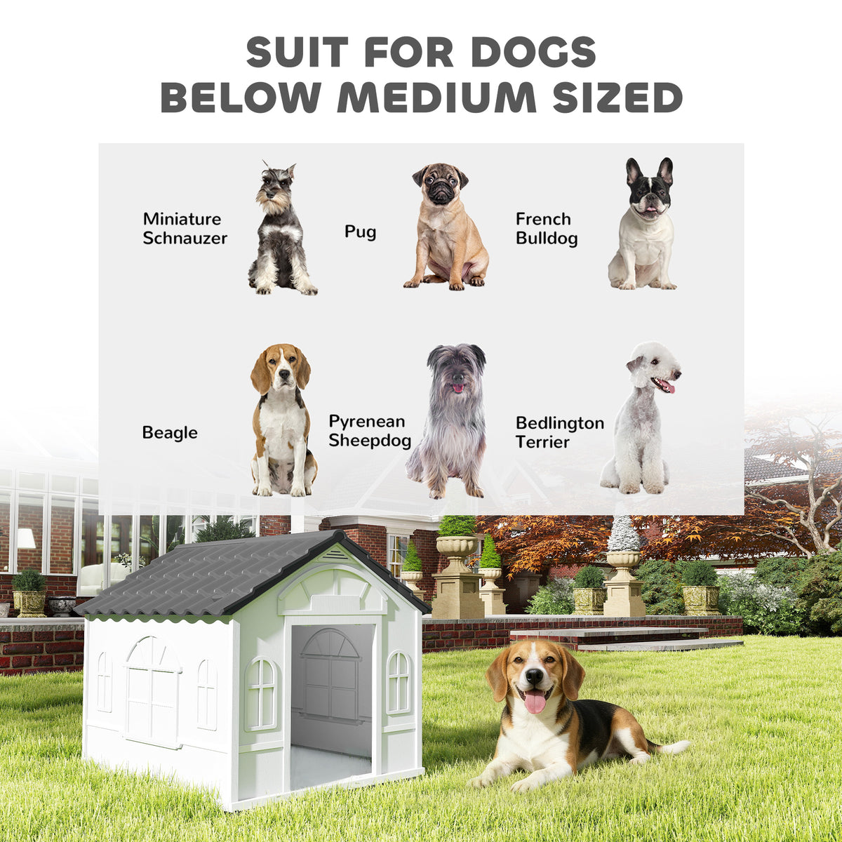 Plastic dog kennel for medium dogs – image 1