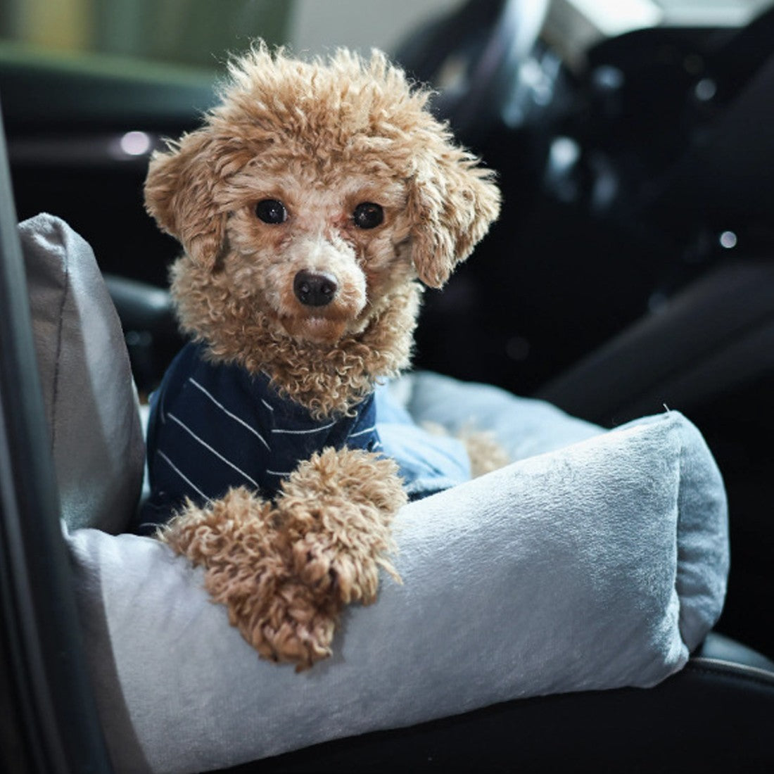 Plush dog car booster seat – image 2