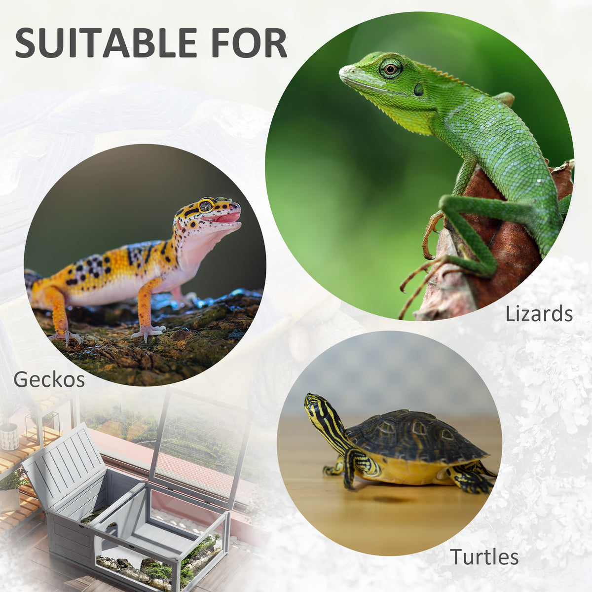 Wooden tortoise and reptile house – image 2