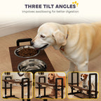 PawHut Adjustable Raised Dog Bowls – Four Heights – product view 5