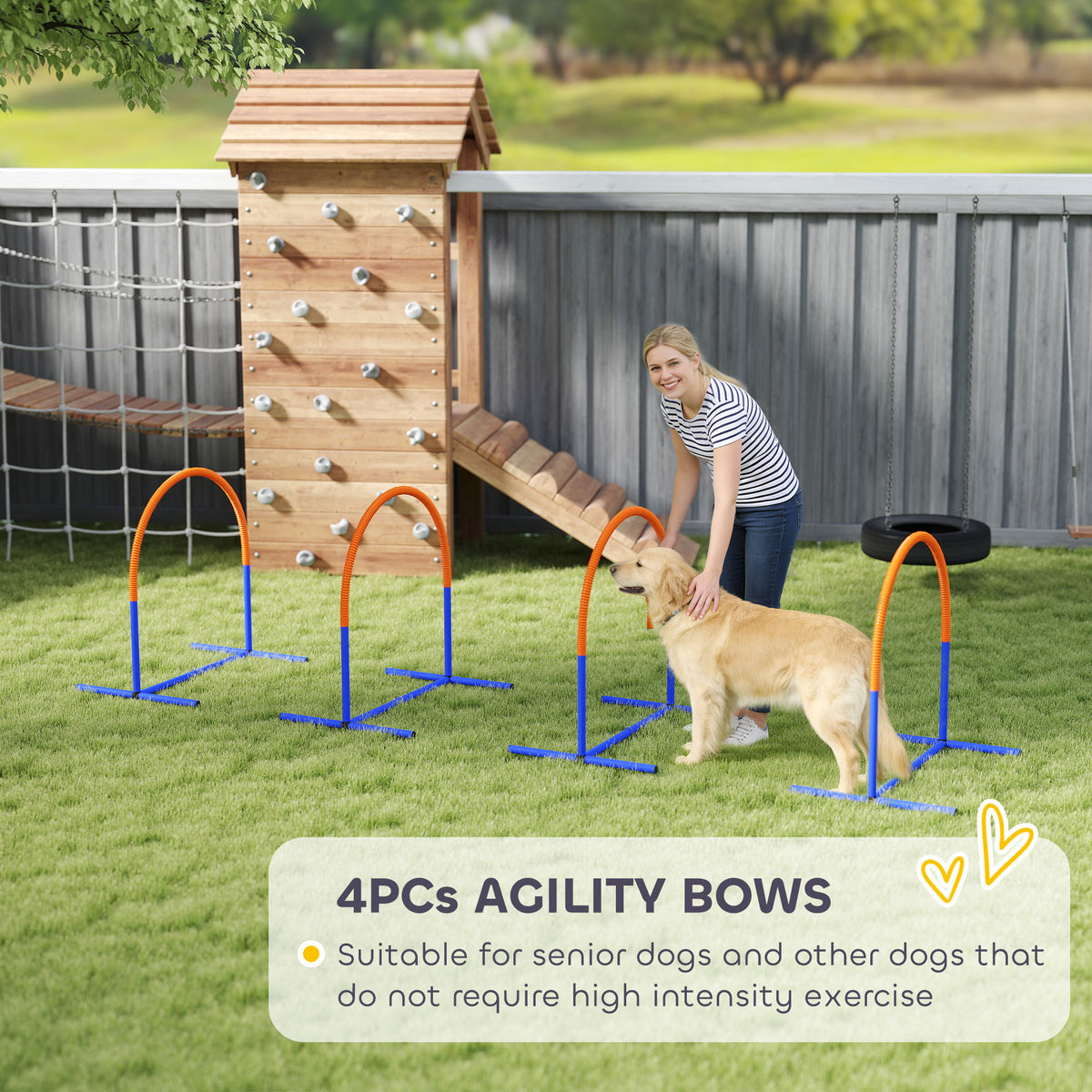 Portable dog agility set – image 4