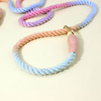 Gradient braided nylon dog lead – image 4