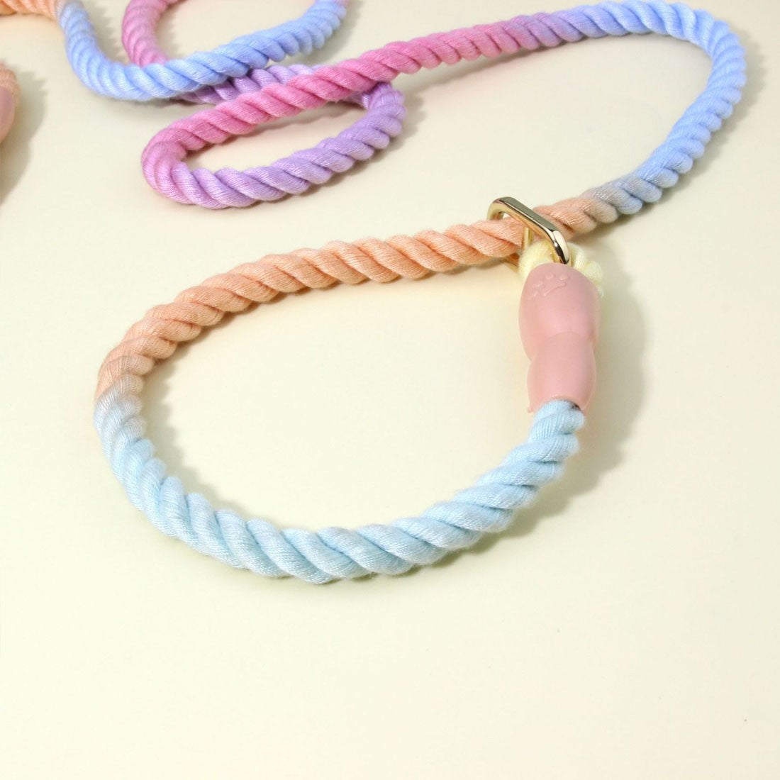 Gradient braided nylon dog lead – image 4