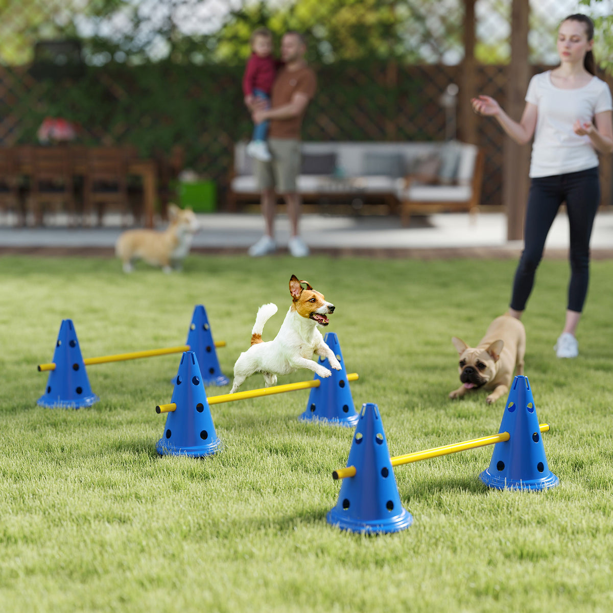 Dog agility jump set – image 5