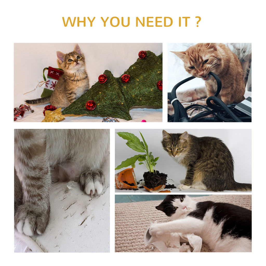 Grey cat activity tree – image 3