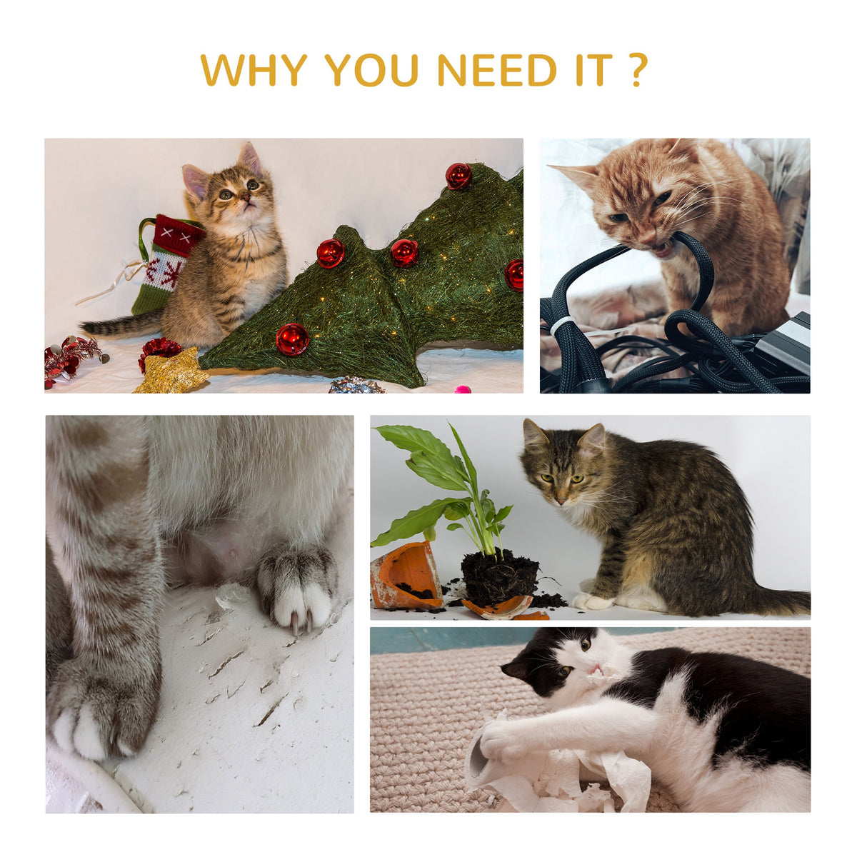 Grey cat activity tree – image 3
