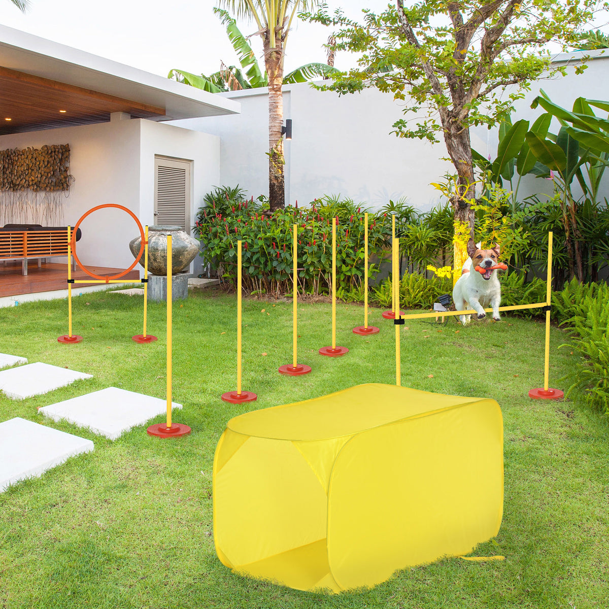 PawHut Dog Agility Set with Tunnel & Jumping Hoop – product view 2