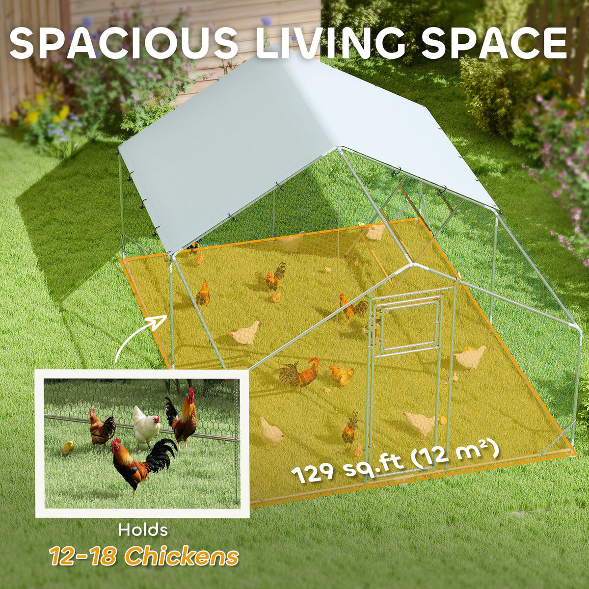 Walk-in chicken run – image 3