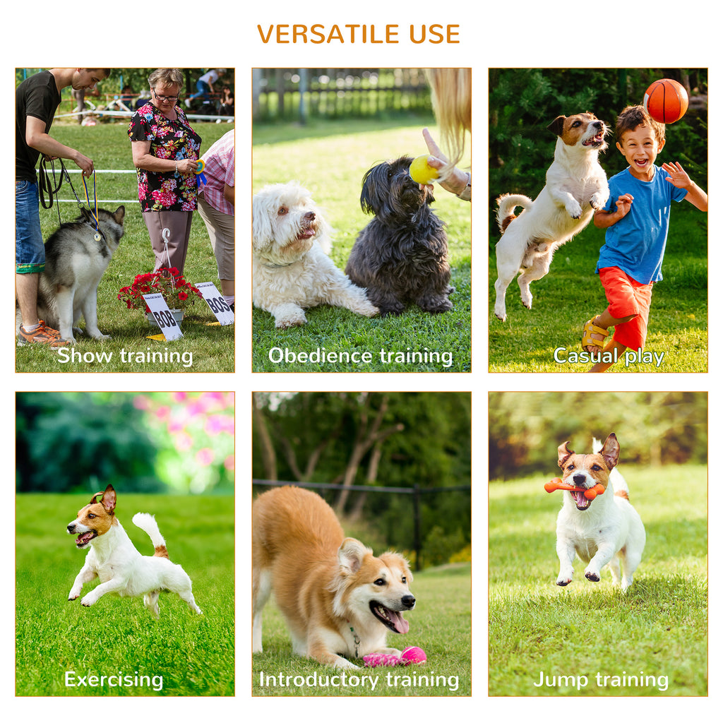 PawHut Dog Agility Set with Tunnel & Jumping Hoop – product view 5