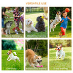 PawHut Dog Agility Set with Tunnel & Jumping Hoop – product view 5
