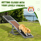 Dog agility seesaw – image 3
