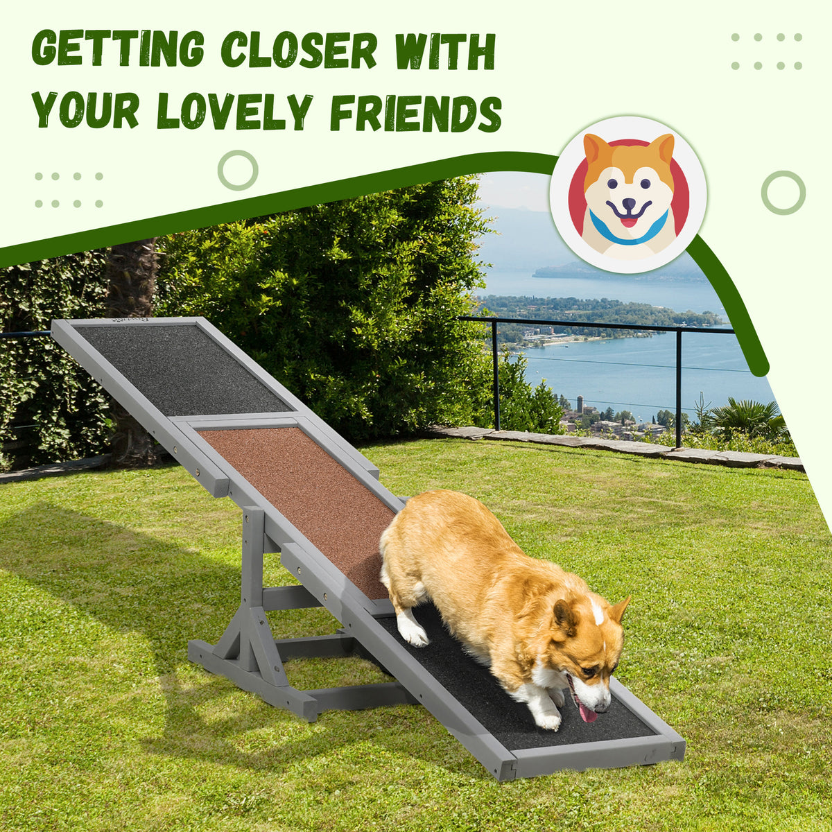 Dog agility seesaw – image 3