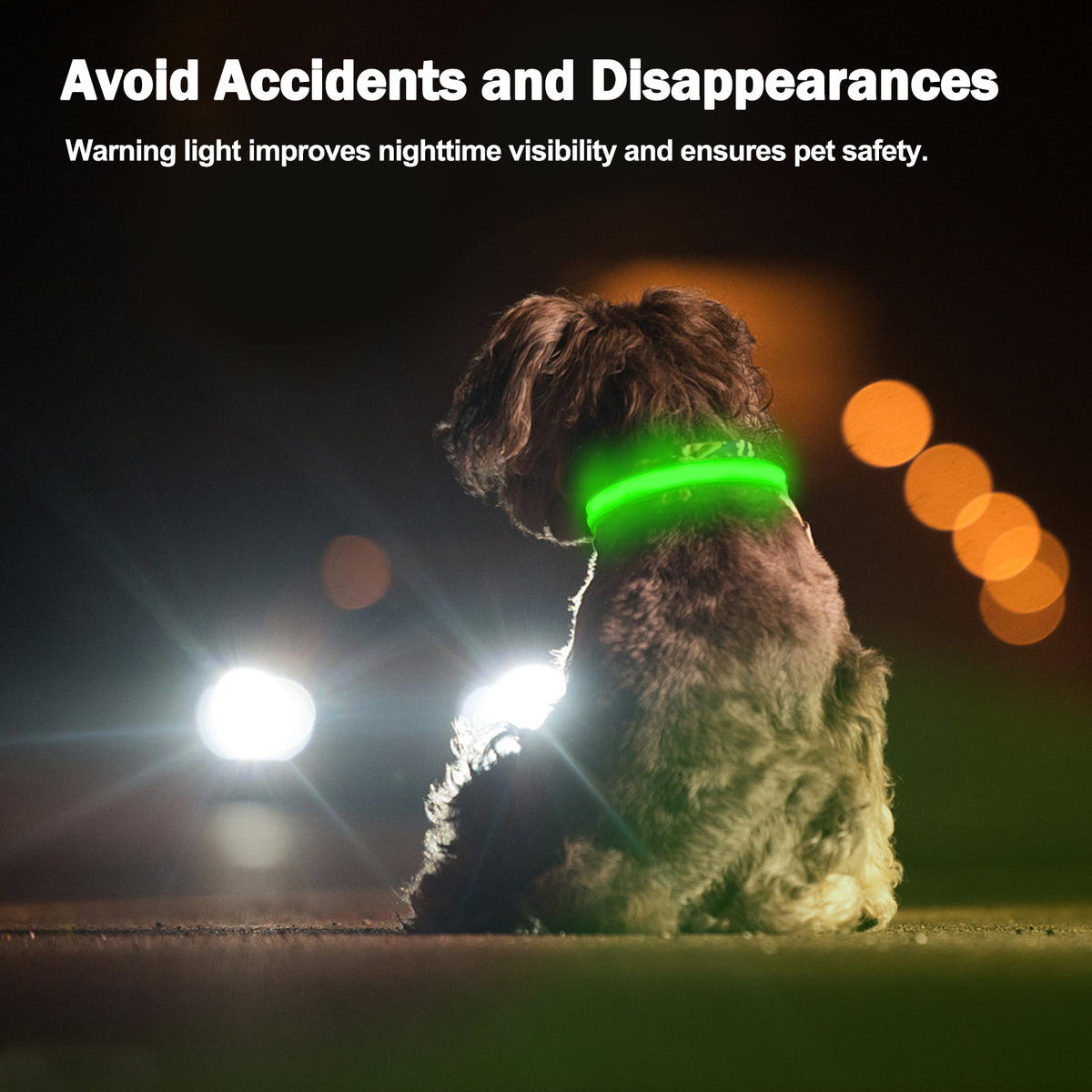 Rechargeable LED Dog Collar – Red, Medium – product view 5