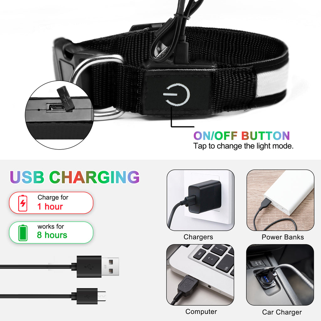 Rechargeable LED Dog Collar – Red, Medium – product view 2