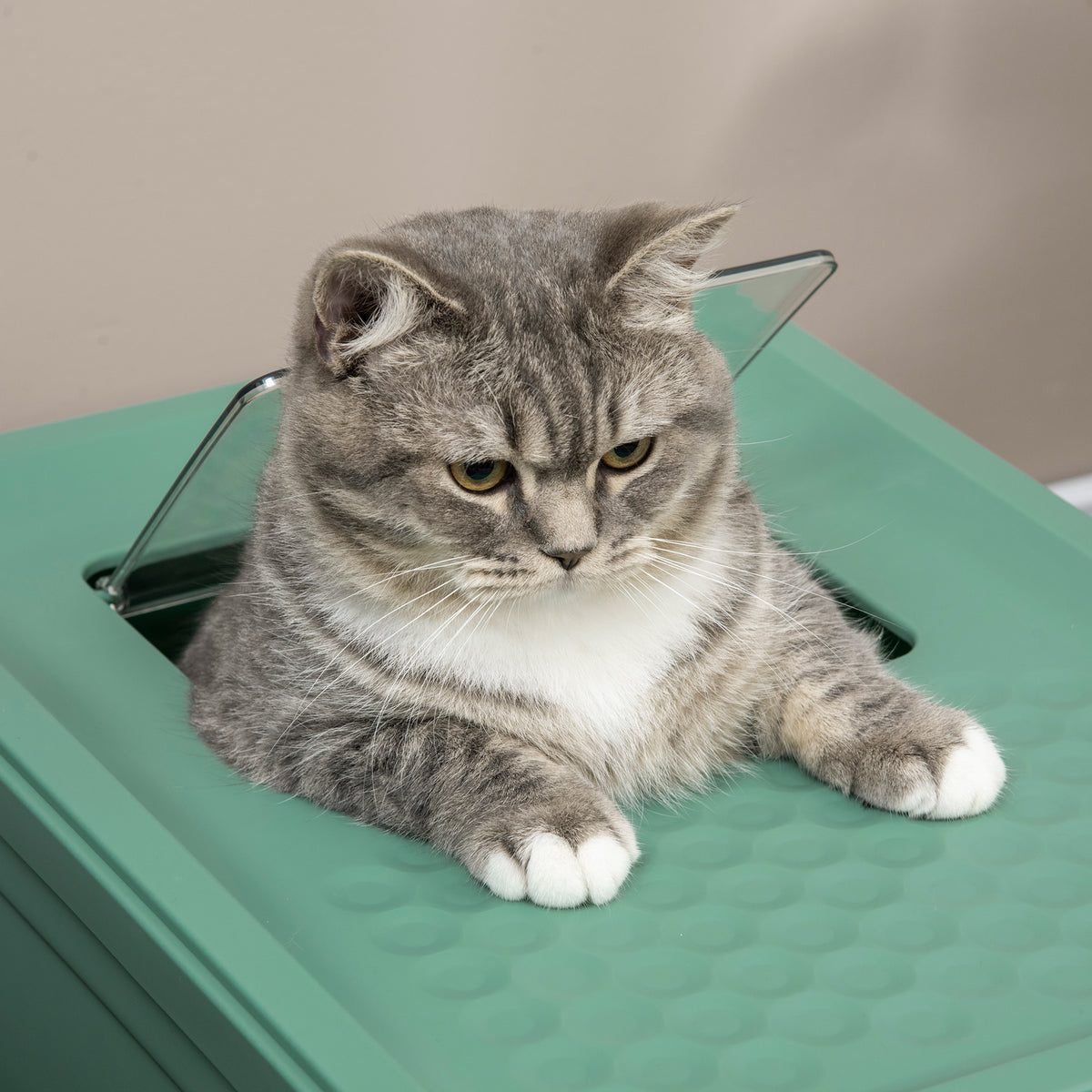 Hooded cat litter box, green – image 2