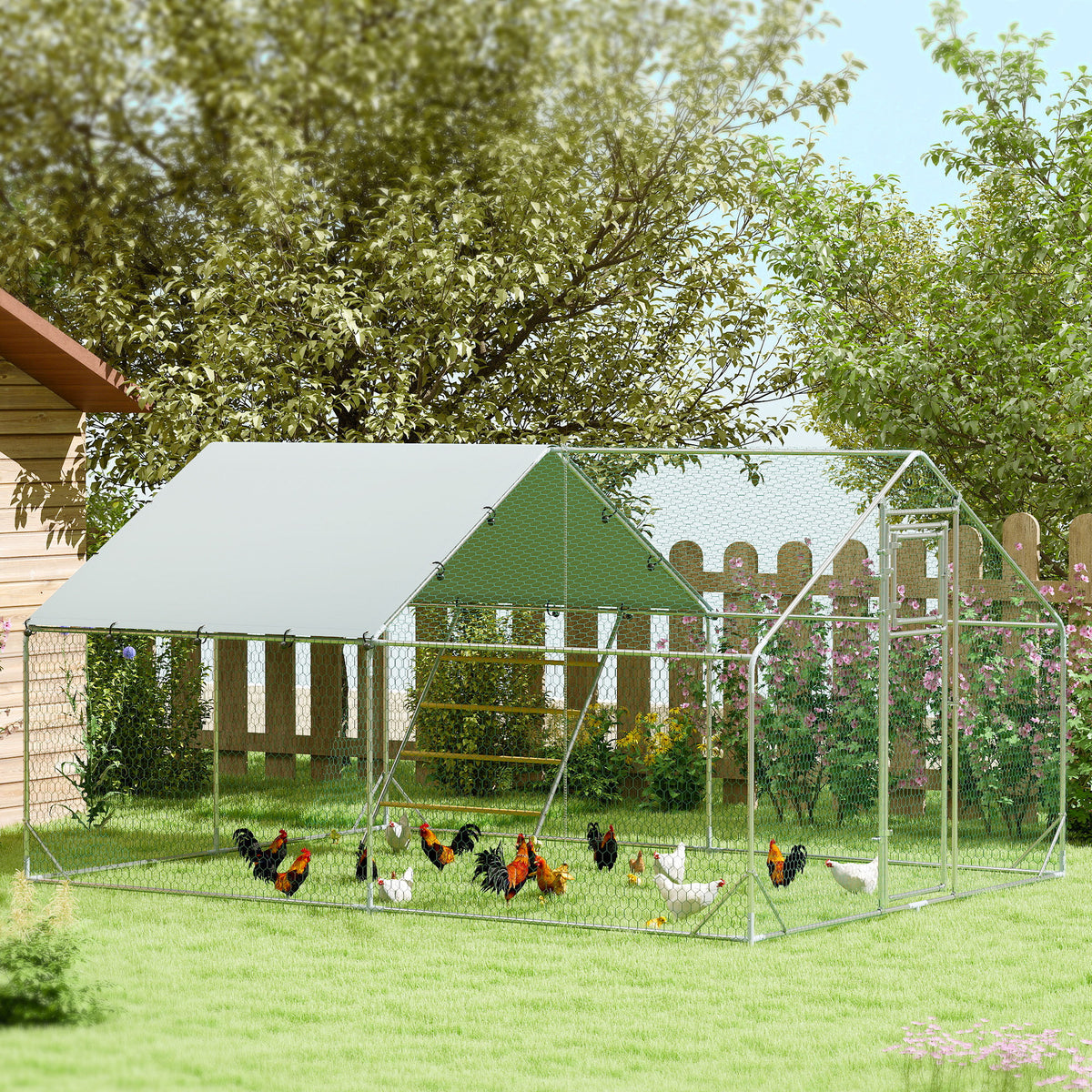 Walk-in chicken run – image 2
