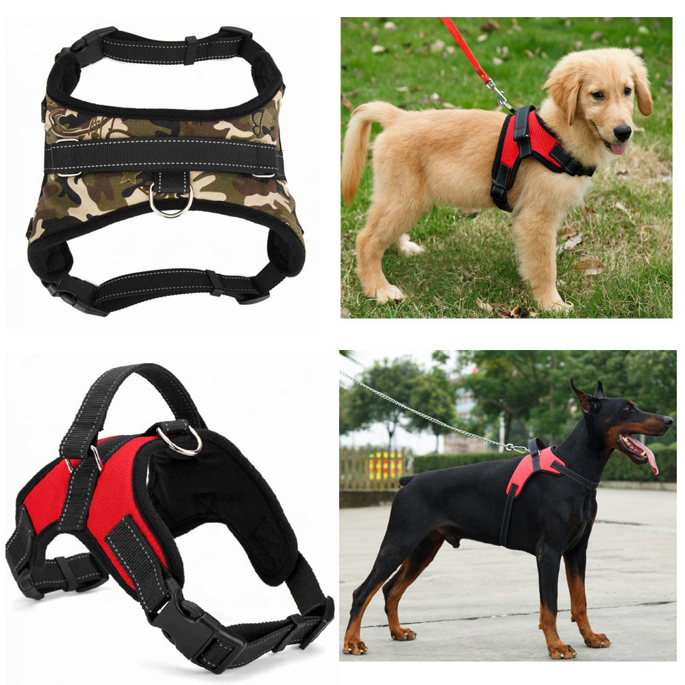 Dog harness styles shown alone and worn by dogs