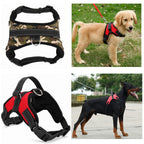 Dog harness styles shown alone and worn by dogs