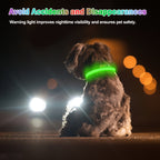Rechargeable LED Dog Collar – Red, Medium – product view 6