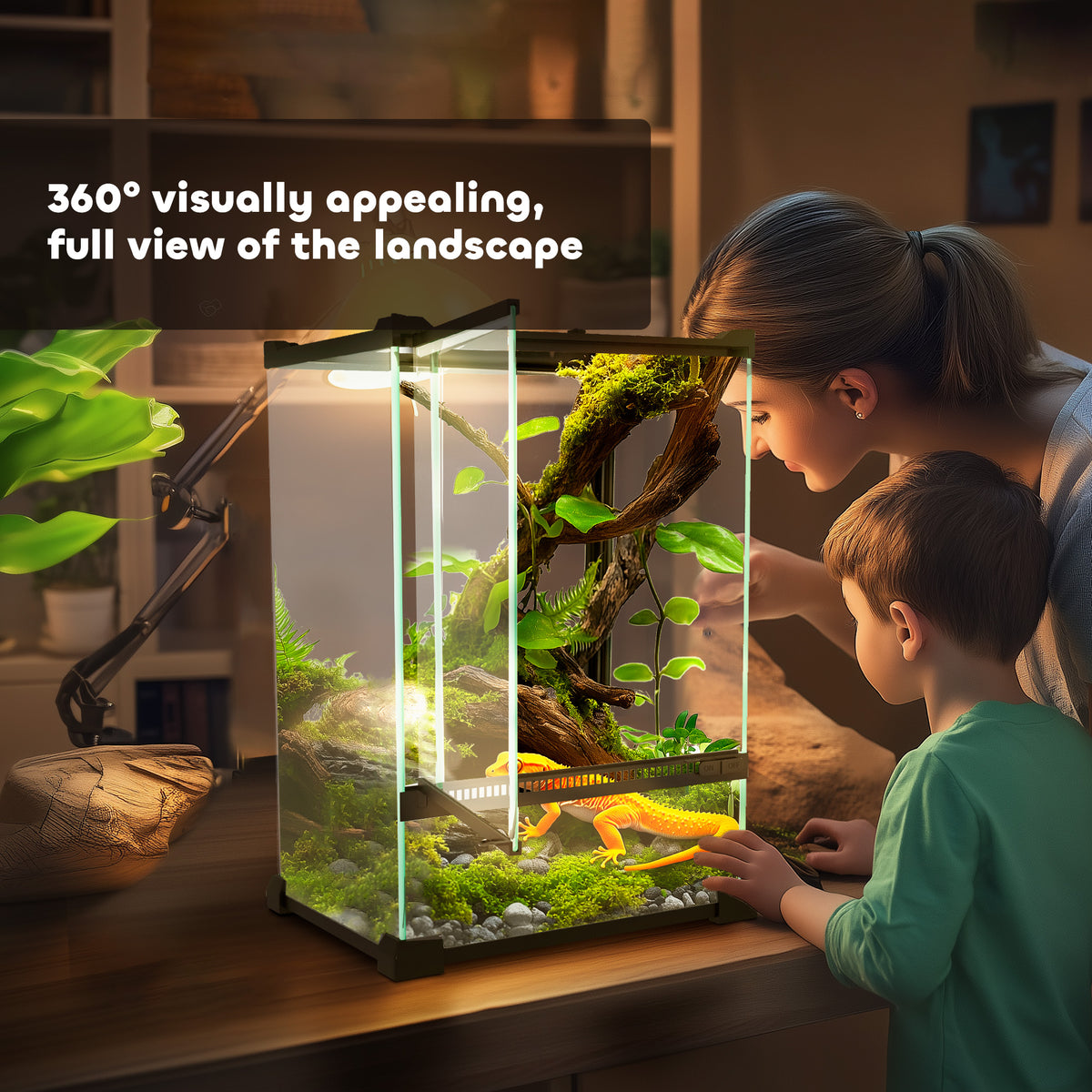 12L reptile vivarium – image 4