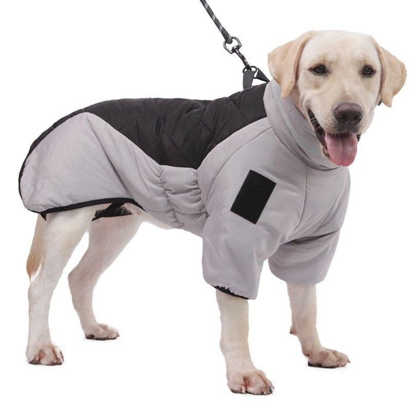 Dog wearing a grey and black padded coat, side view