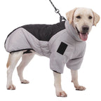 Dog wearing a grey and black padded coat, side view