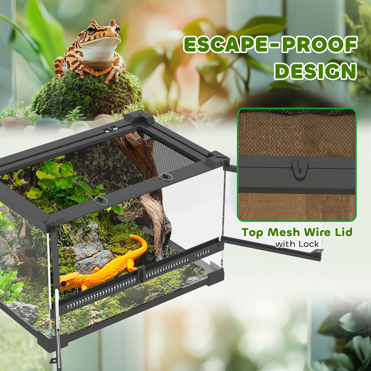 Glass reptile terrarium – image 1