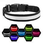 Rechargeable LED Dog Collar – Red, Medium – product view 3