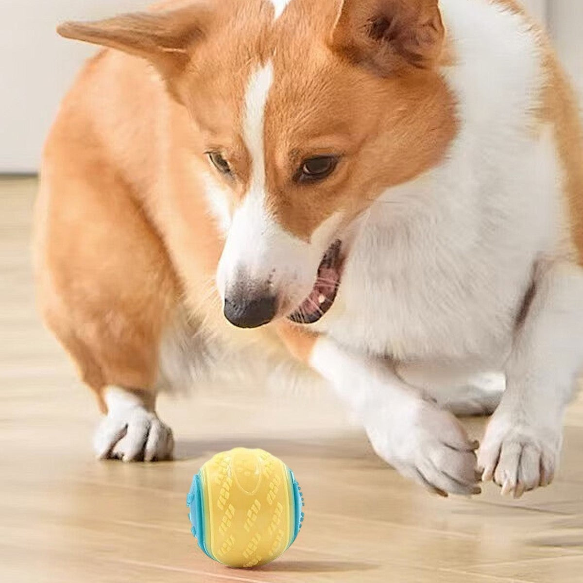 Rubber squeaky dog balls – image 4