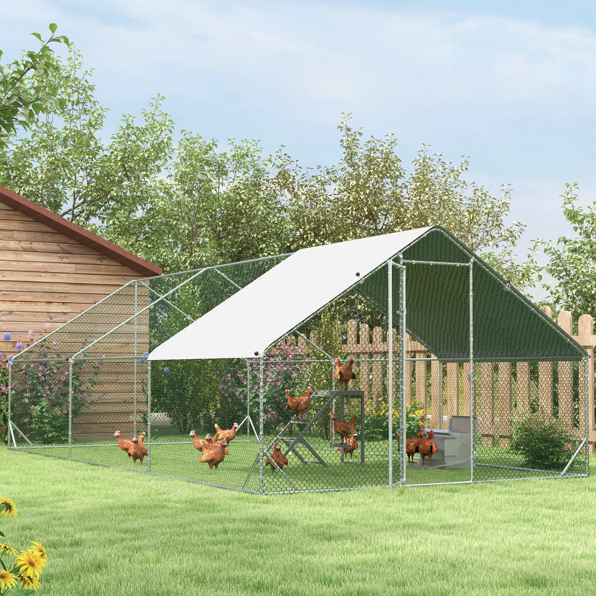 Walk-in chicken run – image 2