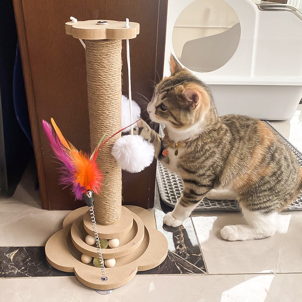Cat Scratching Post with Ball Track – 46cm – product view 5