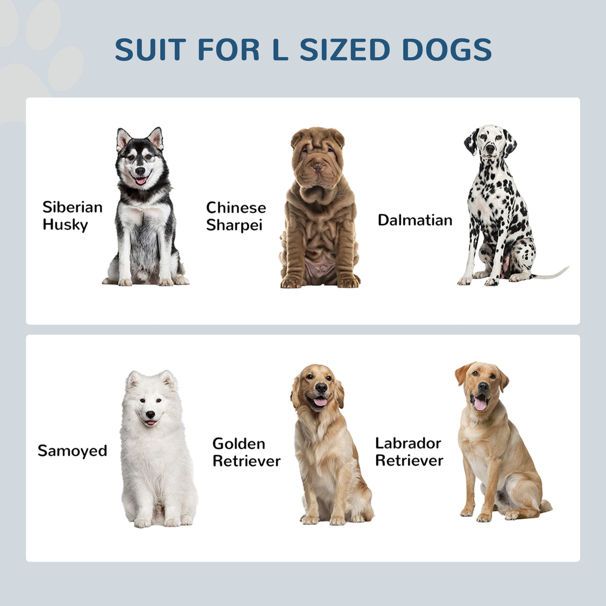 Raised dog feeding station – image 4