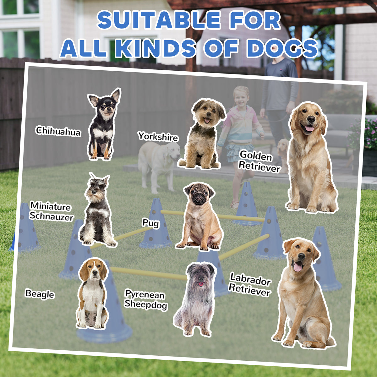 Dog agility jump set – image 1