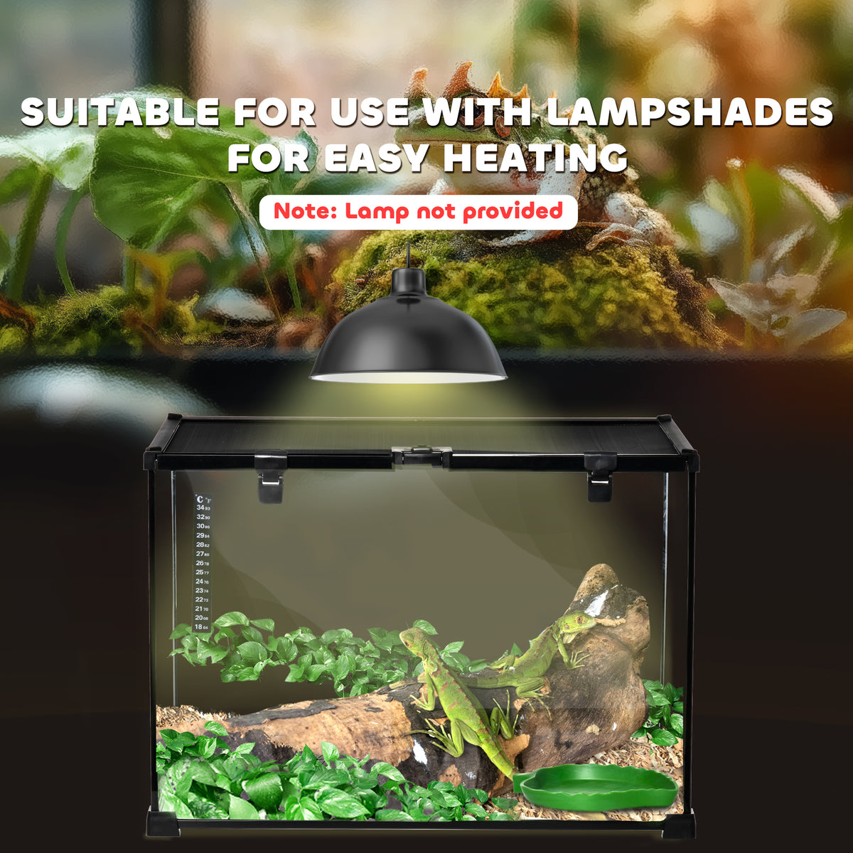 Large glass reptile terrarium – image 1
