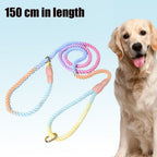 Gradient braided nylon dog lead – image 2