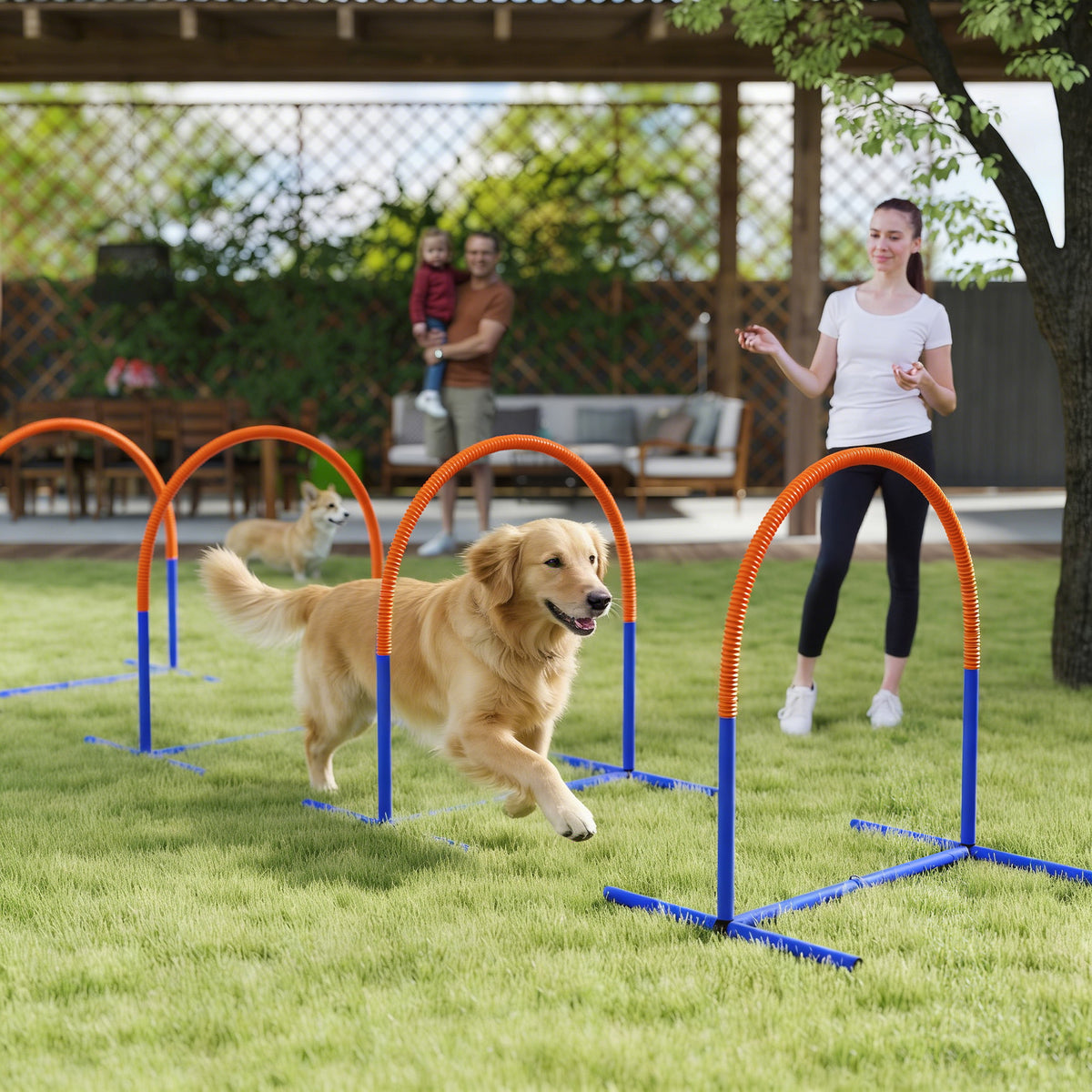 Portable dog agility set – image 3