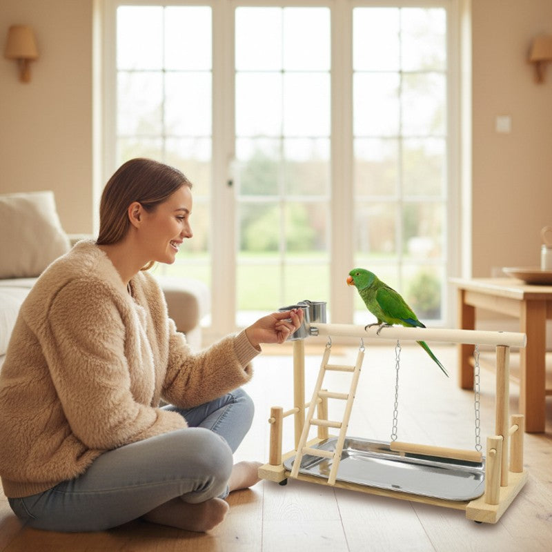 Wooden Bird Playstand with Swing & Ladder – Colour: As shown