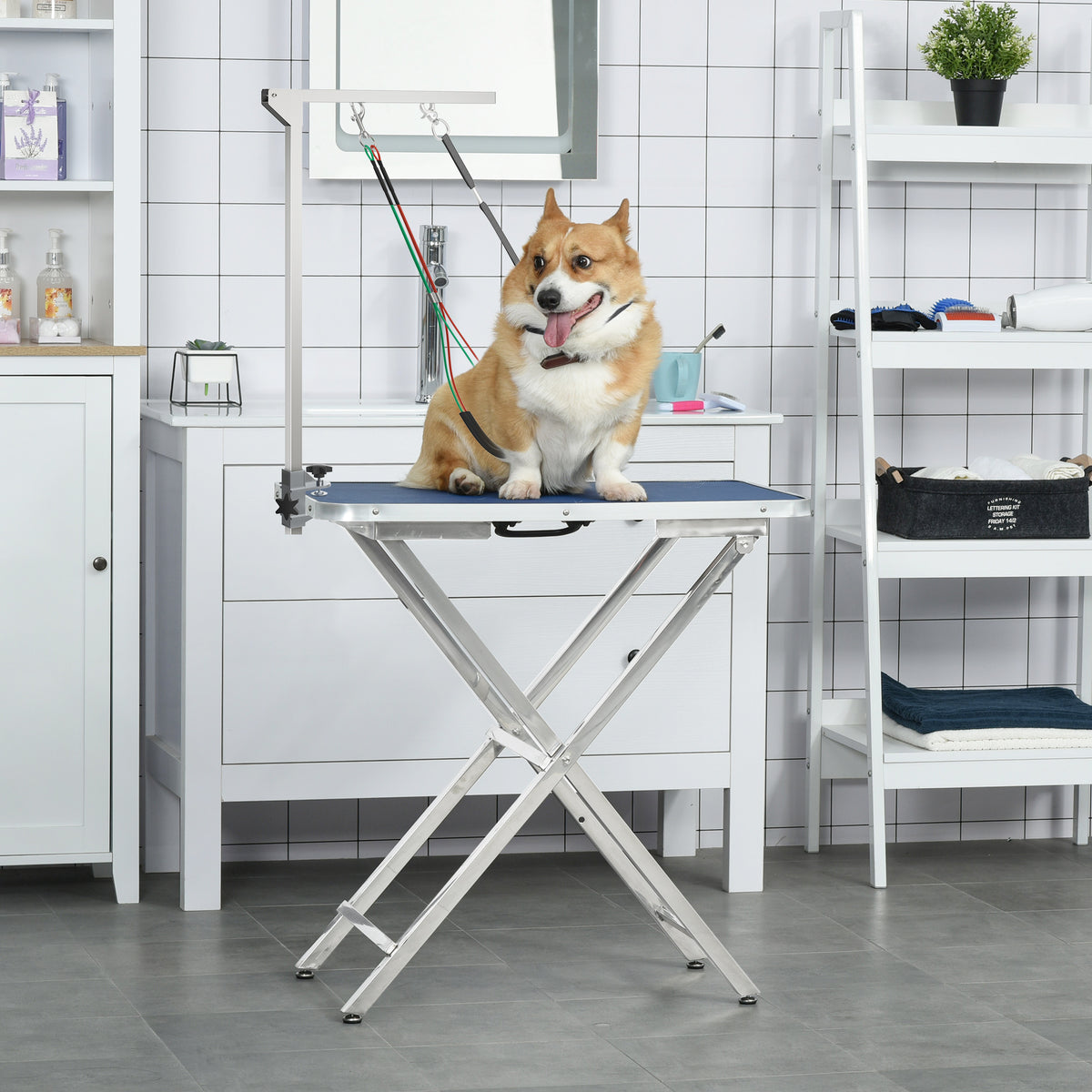 Adjustable Pet Grooming Arm with Clamp & Grooming Loop
