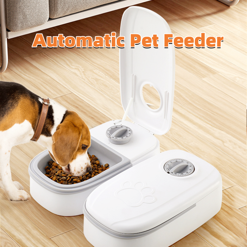Timed Pet Food Dispenser with Stainless Steel Bowl