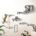 Wall-Mounted Cat Shelves with Hammock & Jumping Boards – 6-Piece Set