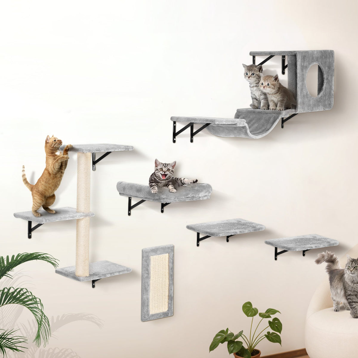 Wall-Mounted Cat Shelves with Hammock & Jumping Boards – 6-Piece Set