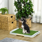 Puppy Training Tray with Artificial Grass – 63 × 48.5cm