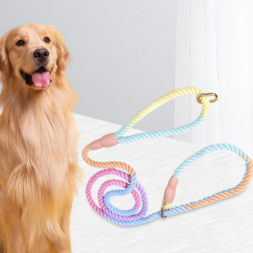 Gradient Braided Nylon Dog Lead with Two Clips – 150cm – Variant: VJM0040