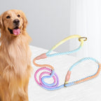 Gradient Braided Nylon Dog Lead with Two Clips – 150cm – Variant: VJM0040